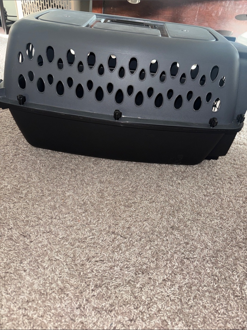Standard Plastic Pet Carrier - Gray with Black Door - Picture 3 of 3
